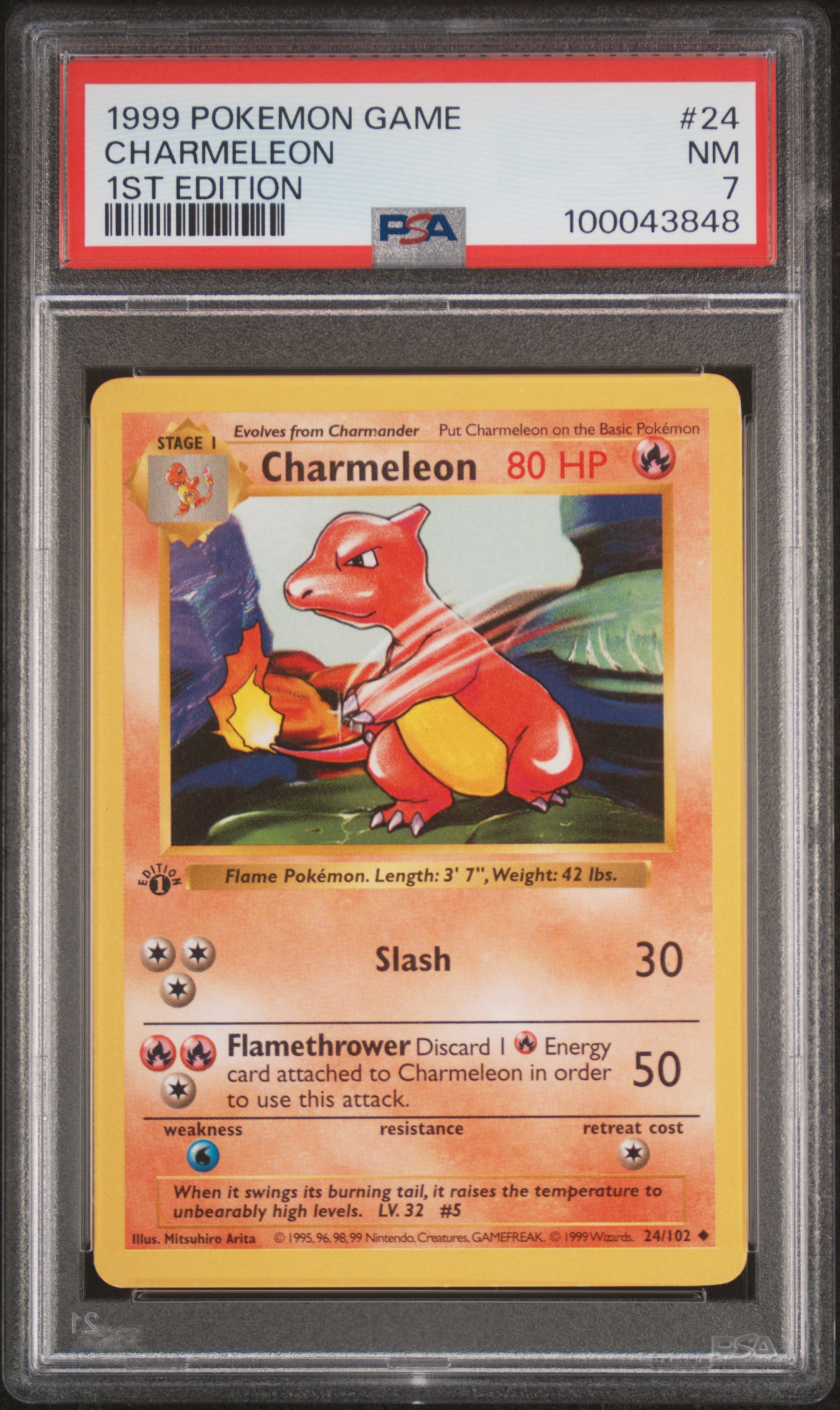 CHARMELEON 1ST EDITION