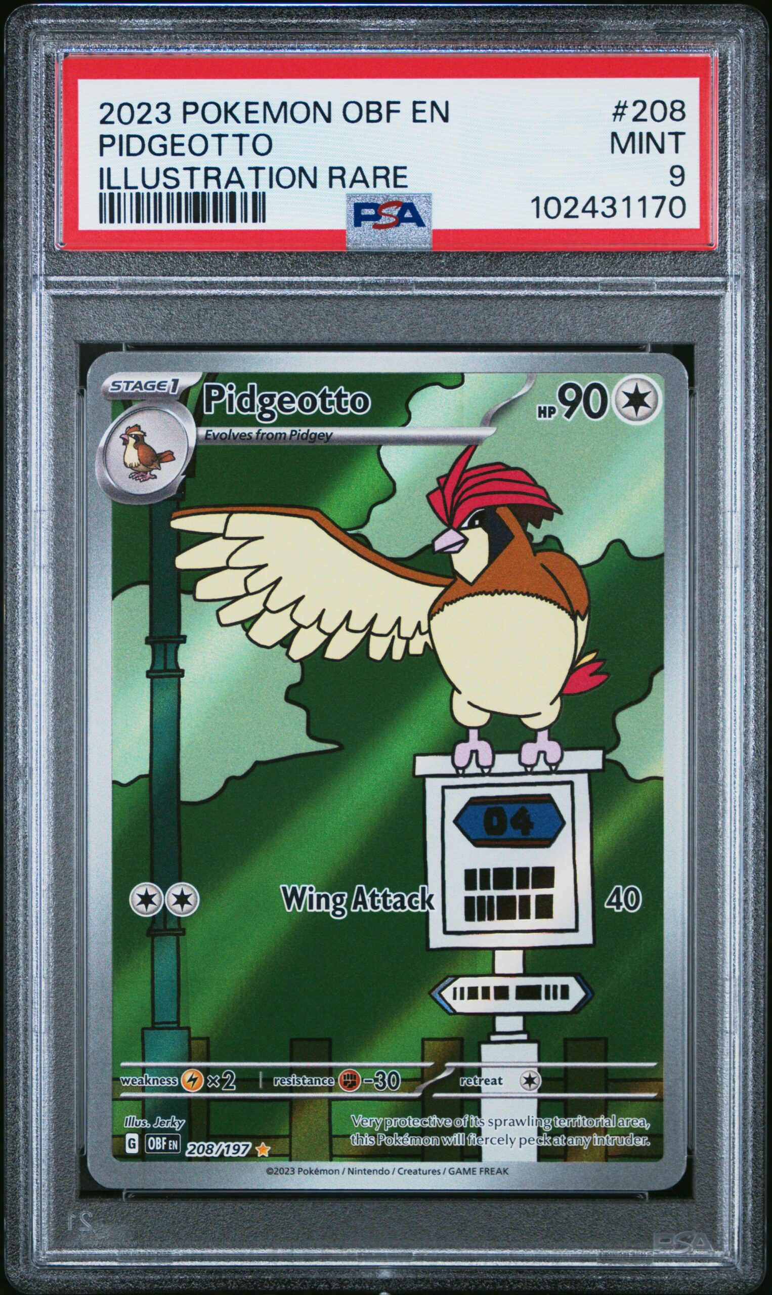 PIDGEOTTO POKEMON OBF EN-OBSIDIAN FLAMES