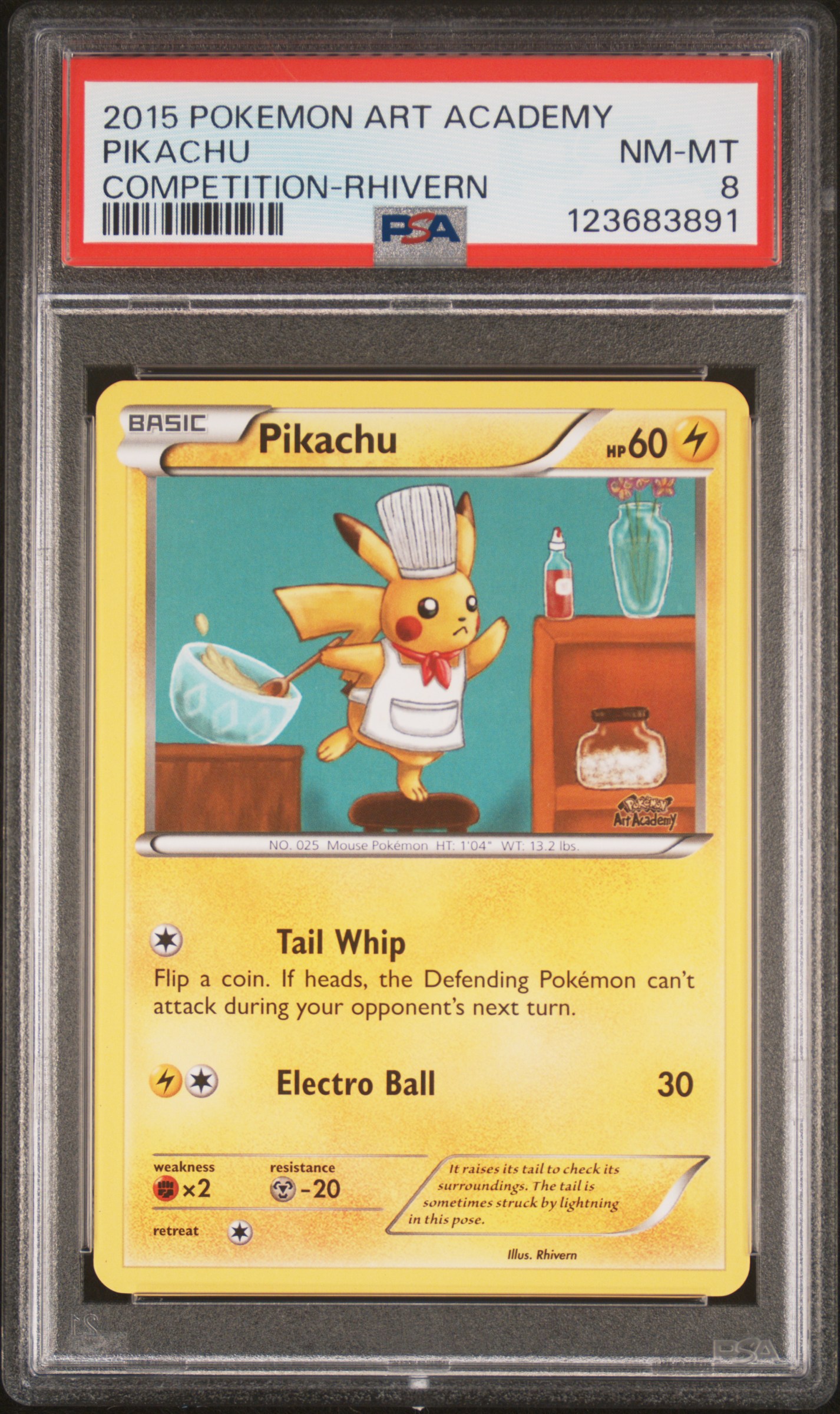 PIKACHU POKEMON ART ACADEMY COMPETITION