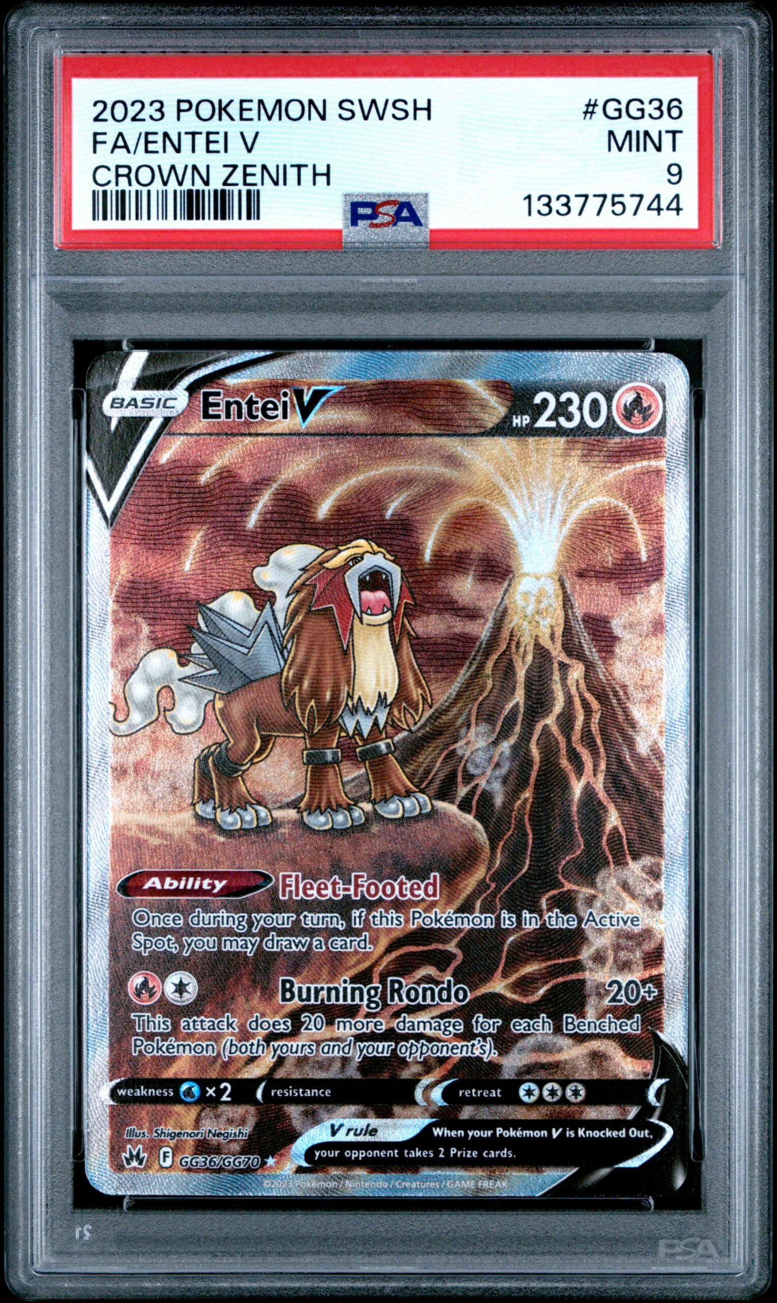 FA/ENTEI V POKEMON SWORD AND SHIELD CROWN ZENITH