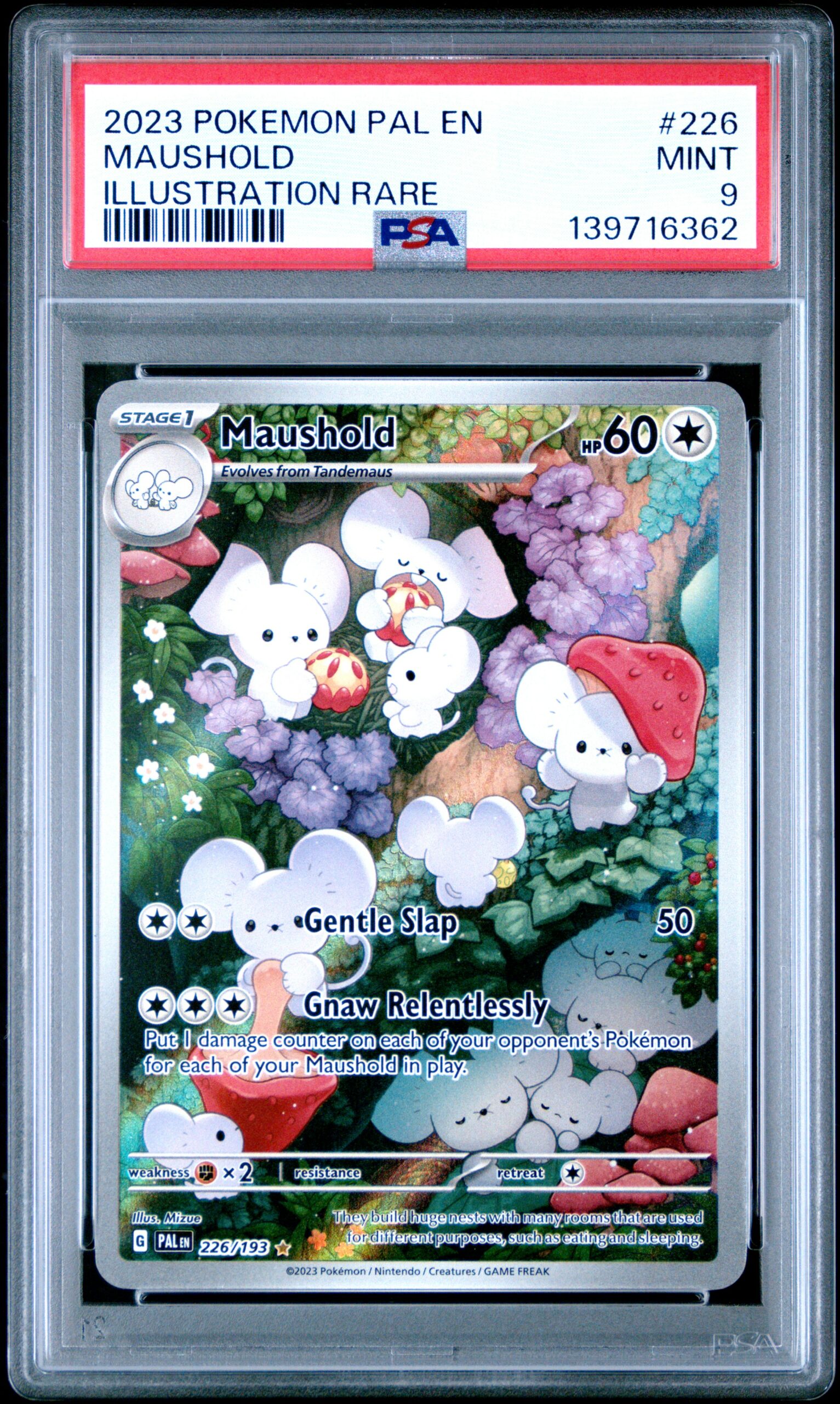 MAUSHOLD POKEMON PAL EN-PALDEA EVOLVED