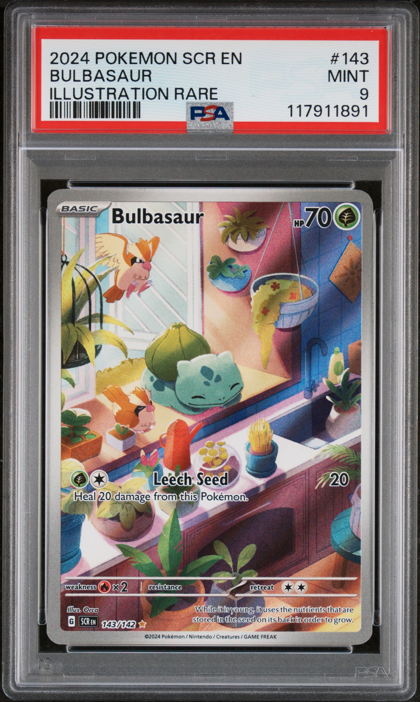 2024 POKEMON SCR EN-STELLAR CROWN 143 BULBASAUR ILLUSTRATION RARE