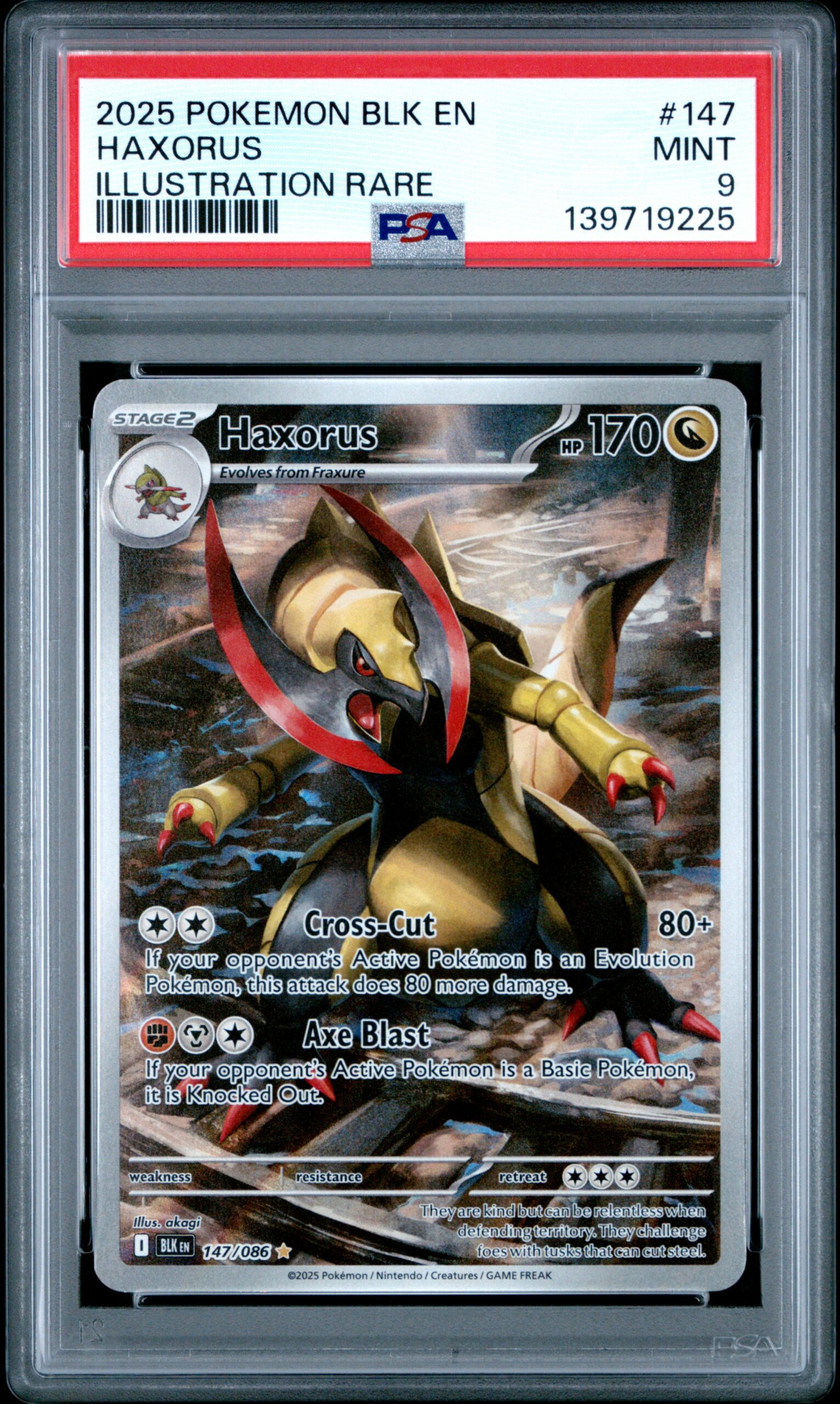 HAXORUS POKEMON BLK EN-BLACK BOLT