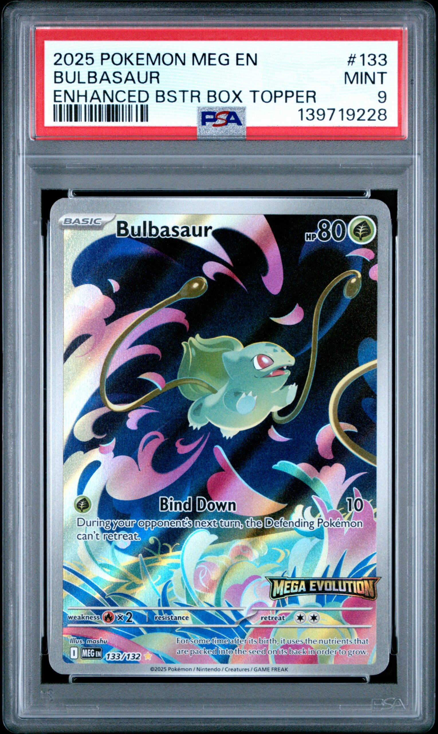 BULBASAUR POKEMON MEG EN-MEGA EVOLUTION