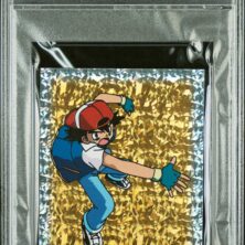ASH-PRISM MERLIN POKEMON
