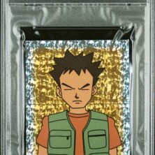 BROCK-PRISM MERLIN POKEMON