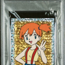 MISTY-PRISM MERLIN POKEMON