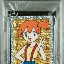 MISTY-PRISM MERLIN POKEMON
