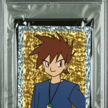 GARY-PRISM MERLIN POKEMON