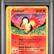 CYNDAQUIL POKEMON EXPEDITION