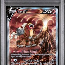 FA/ENTEI V POKEMON SWORD AND SHIELD CROWN ZENITH