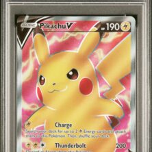 2020 POKEMON SWORD & SHIELD VIVID VOLTAGE 170 FULL ART/PIKACHU V