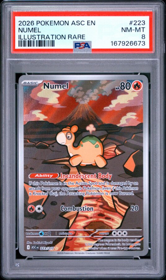 2026 Pokemon Asc En Ascended Heroes Tcg Cards #223 Numel Illustration Rare Psa Nm Mt 8
