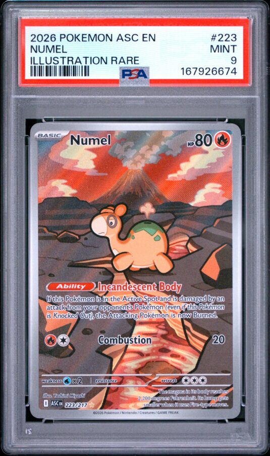 2026 Pokemon Asc En Ascended Heroes Tcg Cards #223 Numel Illustration Rare Psa Mint 9