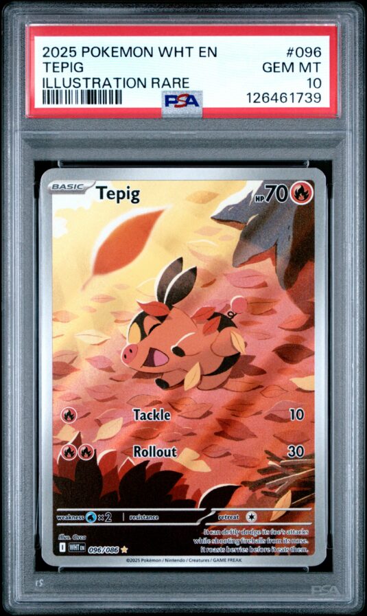 2025 POKEMON WHT EN-WHITE FLARE 096 TEPIG ILLUSTRATION RARE