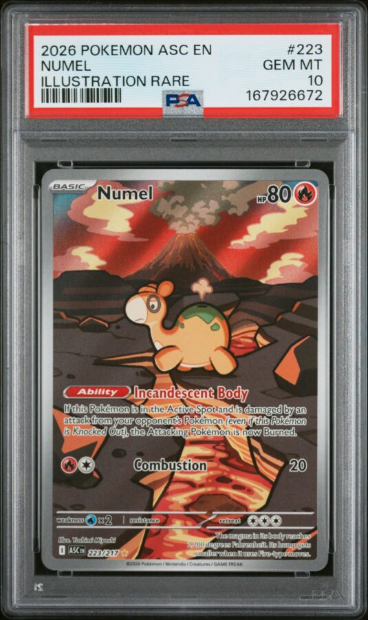 2026 Pokemon Asc En Ascended Heroes Tcg Cards #223 Numel Illustration Rare Psa Gem Mt 10