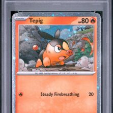 2026 Pokemon Asc En Ascended Heroes Tcg Cards #029 Tepig First Partners Pin Collection Psa Mint 9